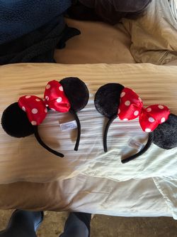Disney parks