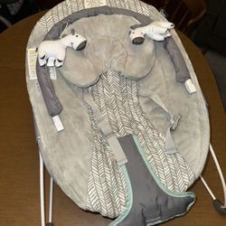 Baby Bouncer 