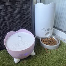 Cat Water Fountain And Good Dispensary 