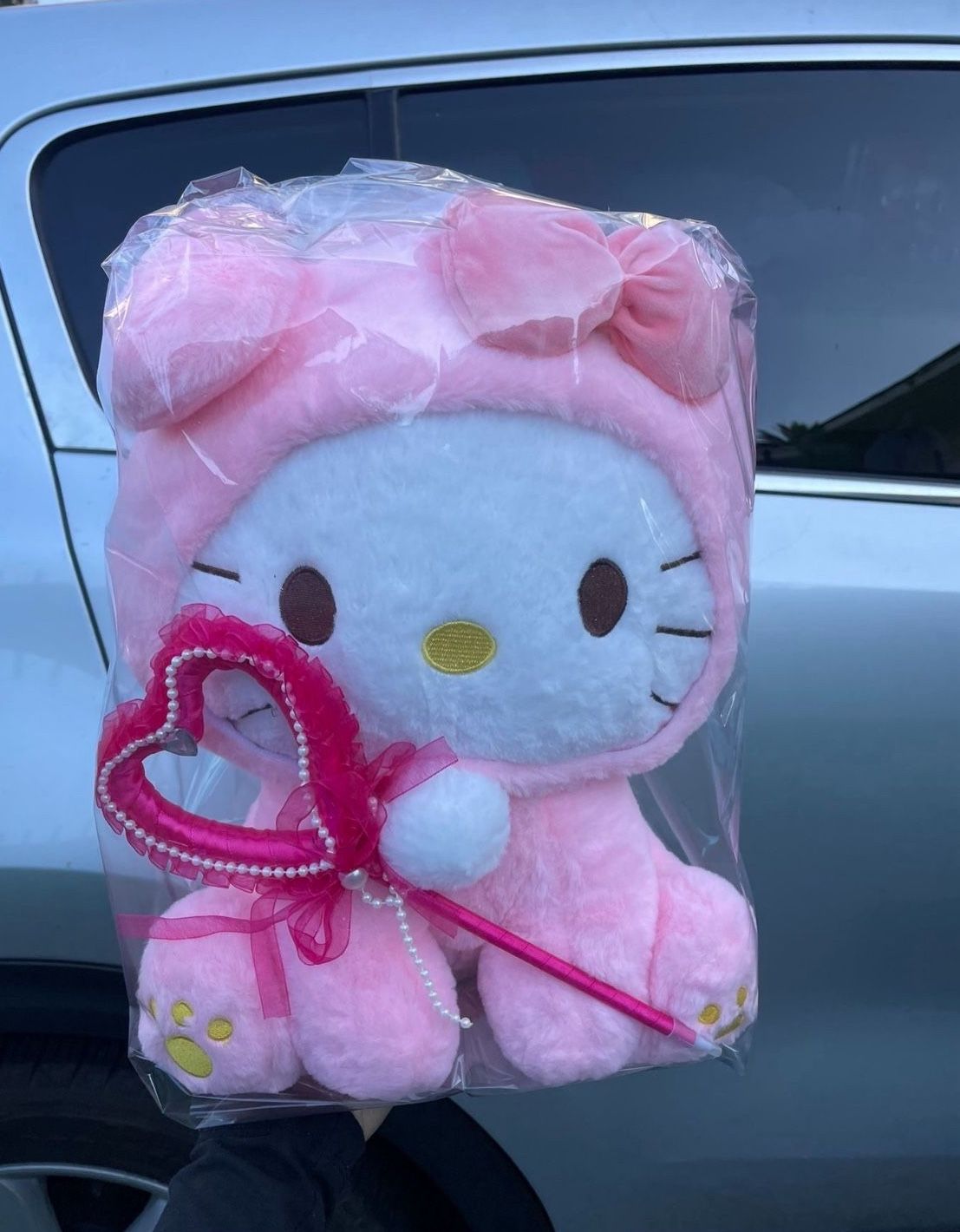 Hello Kitty Plush Gift