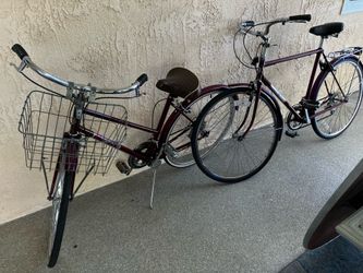 His  & Hers matching Free Spirit 1970’s Sears bikes