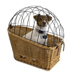 Dog Bicycle Basket From Beach & Dog. 