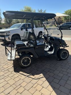 2020 Dynamic Golf Cart