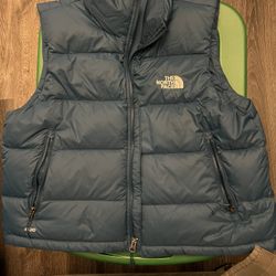 THE NORTH FACE VEST