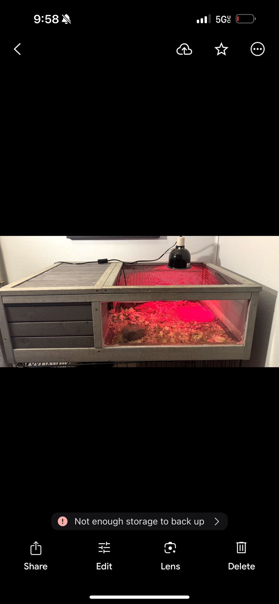 Tortoise Cage For Sale