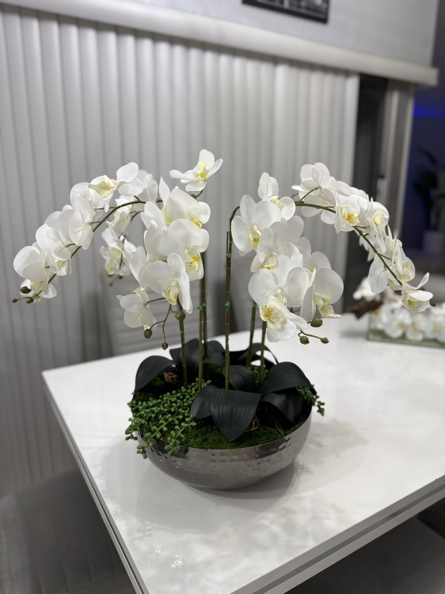 WHITE BUDS ORCHID