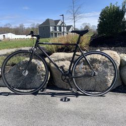 Single Speed Freewheel Great Bike For City 