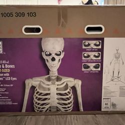 Halloween 12ft Skeleton Mr. Bones