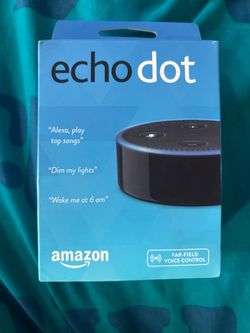 Echo speaker