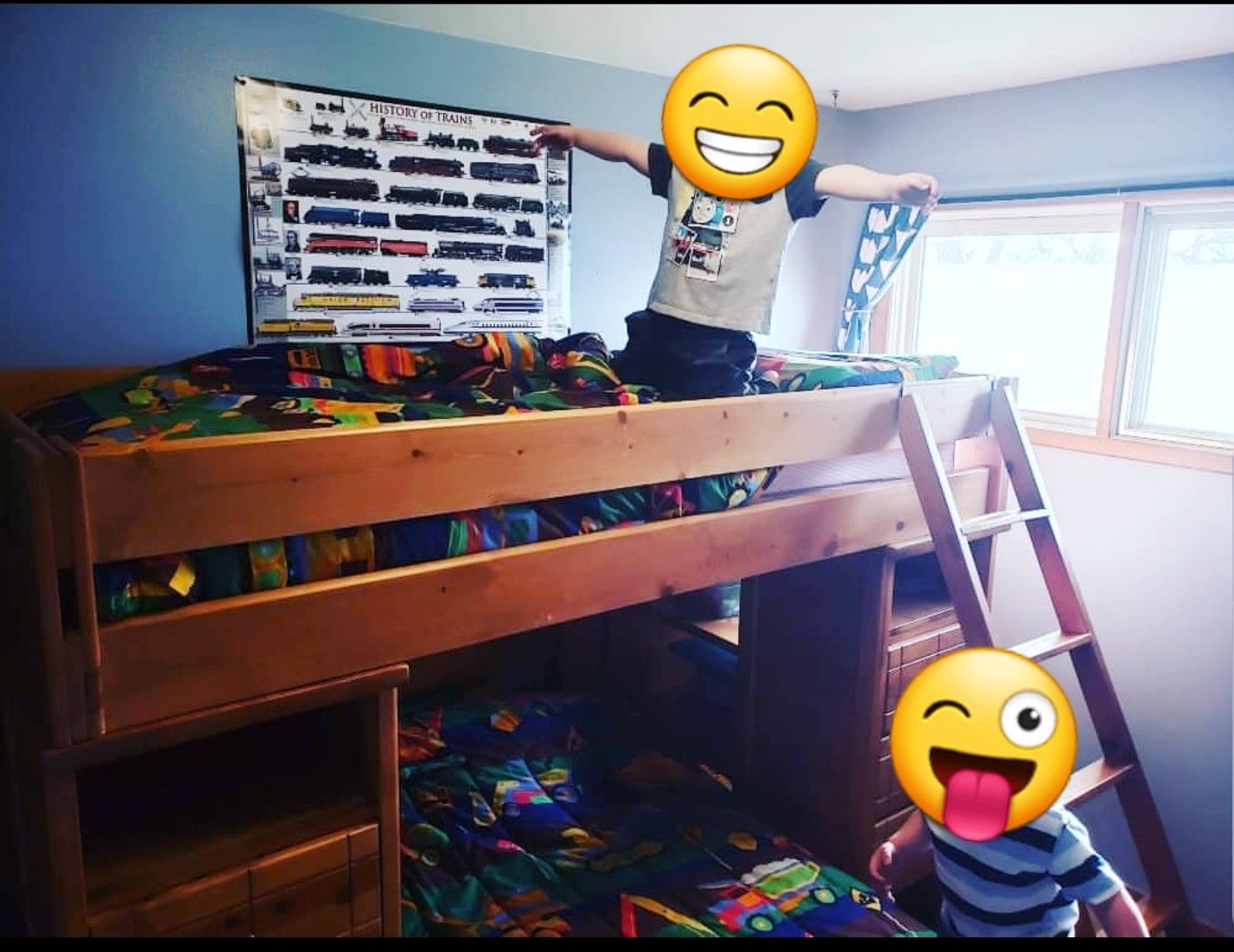 Bunk bed/loft bed