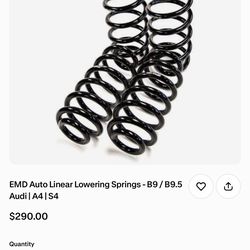 Lowering Springs 2019 AUDI S4 / A4