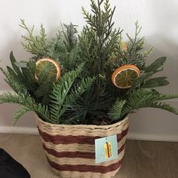 Fake Plant New