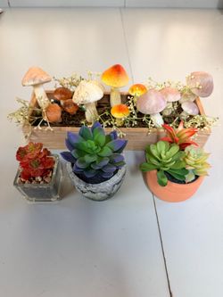 Faux Succulent and Mushroom Decor Set