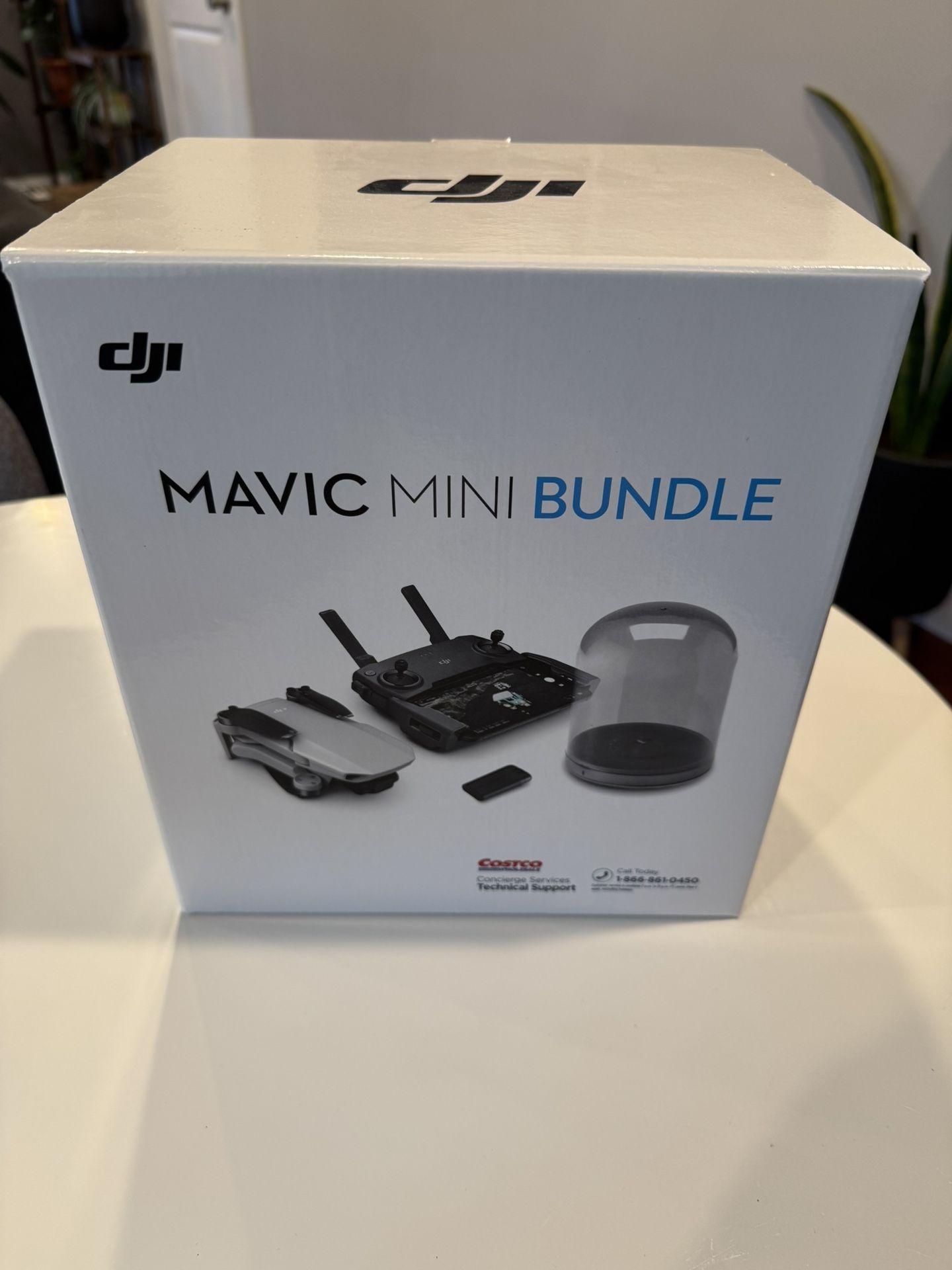 DJI Mavic Mini