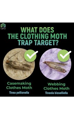 Clothes Moth Traps with Pheromones and Free Cedar Blocks Moth Repellent -  Moth Traps for Clothes - Clothing Moth Traps with Pheromones - Closet Moth  T for Sale in Dover, DE - OfferUp