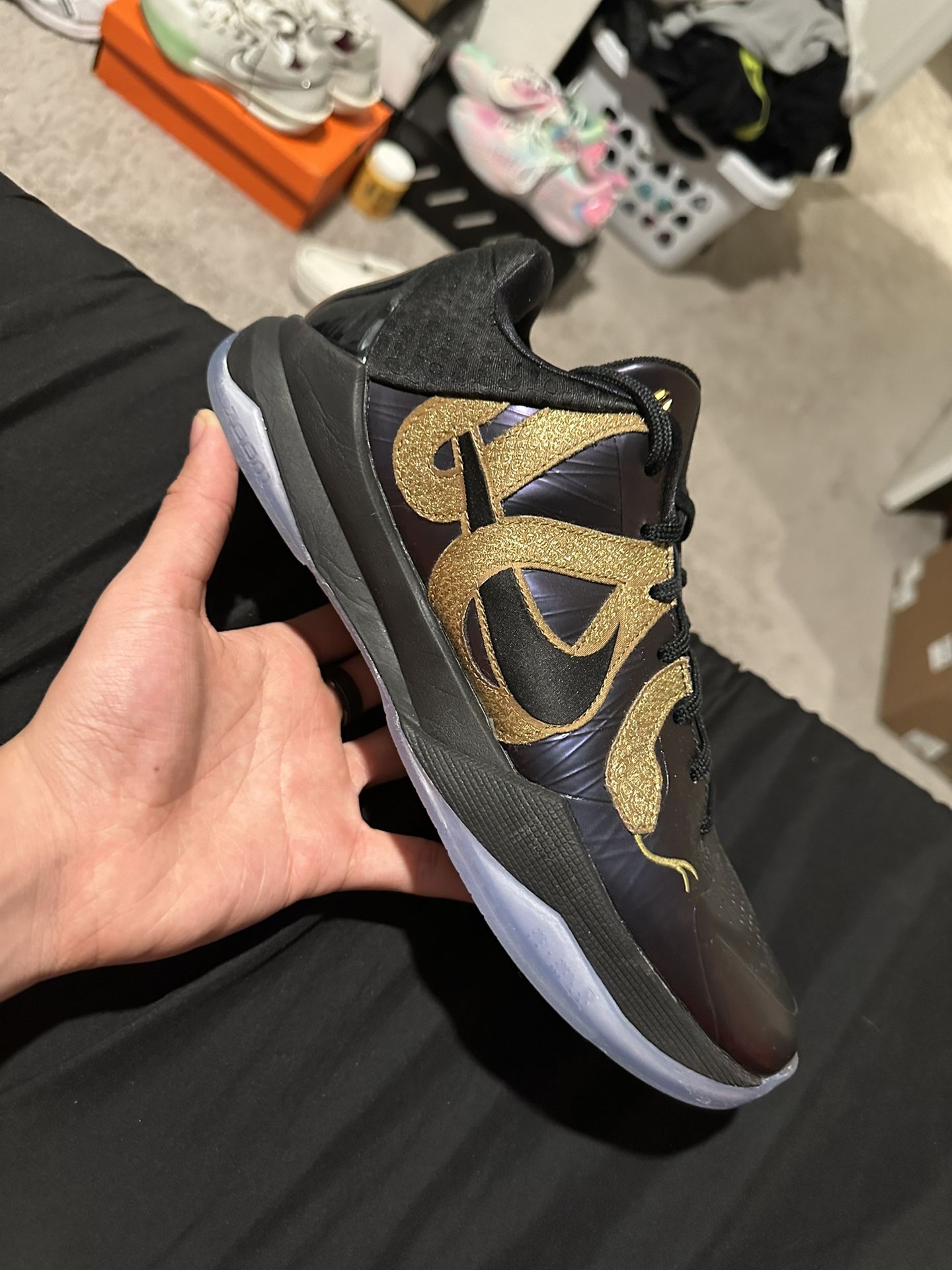 Kobe Protein Year Of The Snake