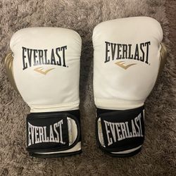 Everlast Gloves 