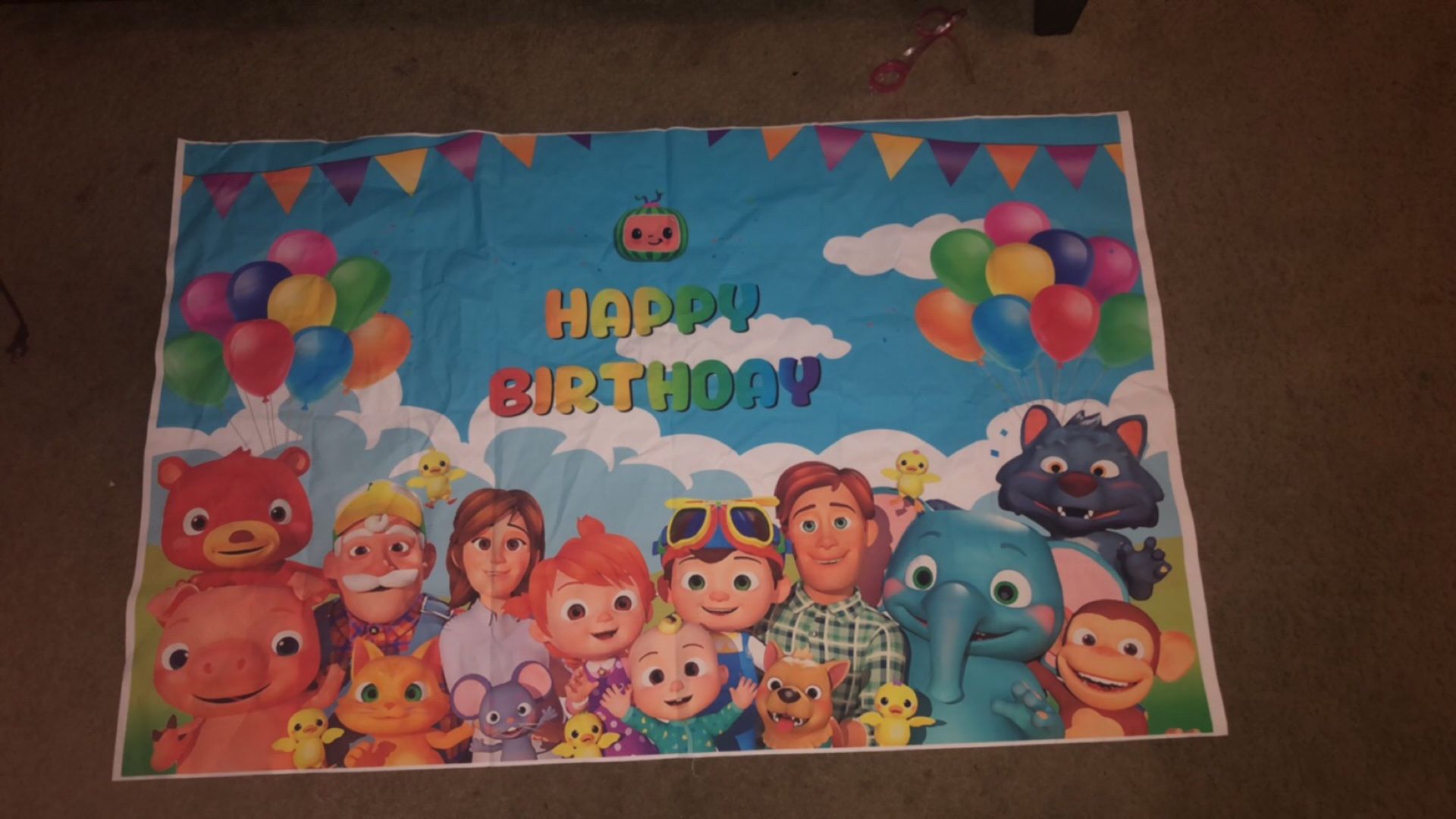 Cocomelon Birthday Party Decor