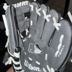 Tball Glove