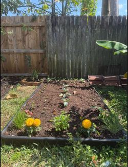 Garden Beds
