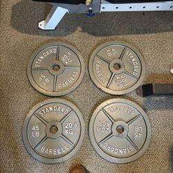 Gym weights, bars, and plates read DESCRIPTION 