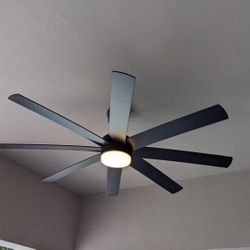 Fan