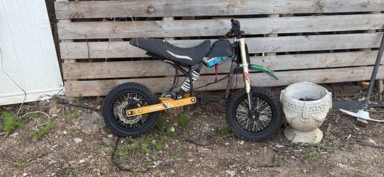 Entertaining Electric Bike