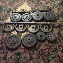 Bar Plates And Bench 