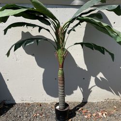 Faux Banana Palm Tree 60” H Bombay Company Silk Fake Artificial Plant