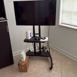 Computer Monitor W stand 