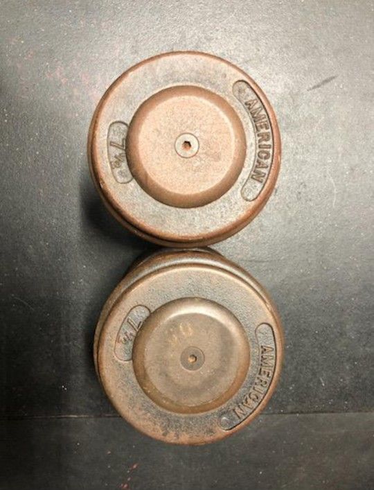 Pro Style Dumbbells