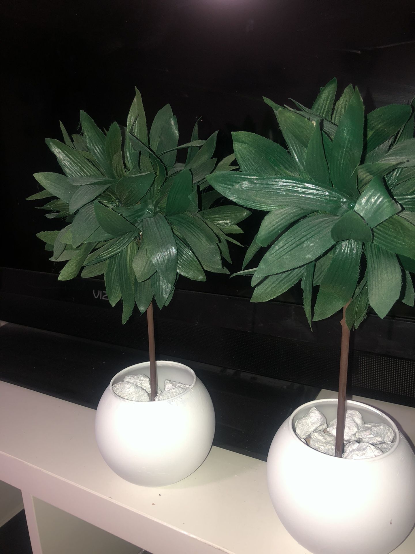 Mini topiary trees ( 1ft tall)