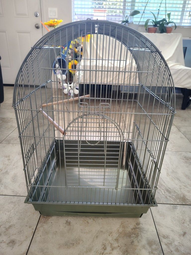 Bird Cage