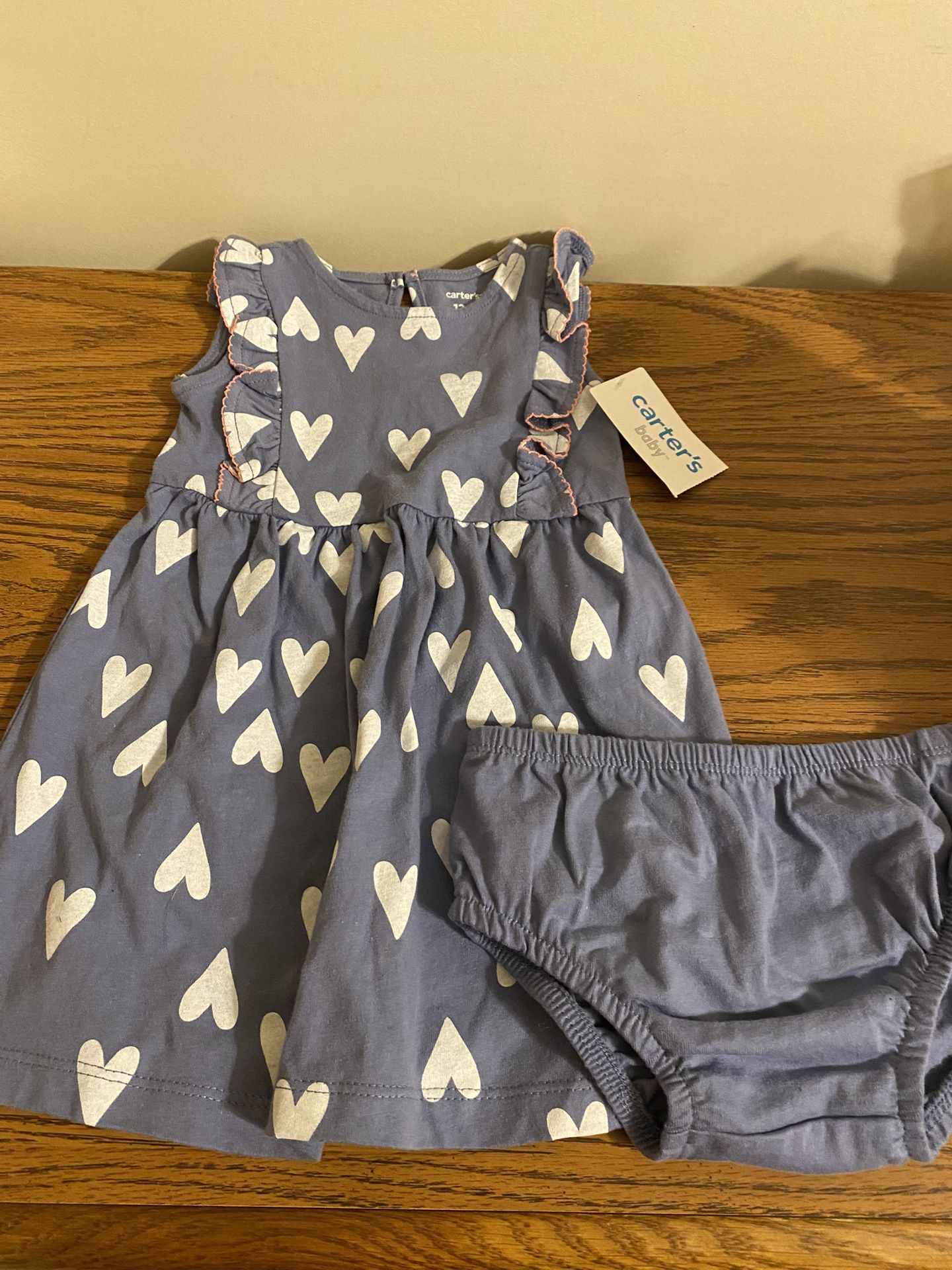 NWT 2 Pc Carter’s Size 12 Months Outfit