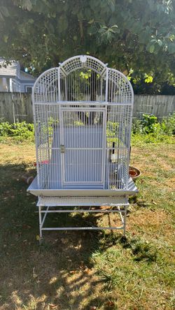 Big bird cage