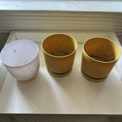 Plastic Pots