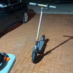 Customized Ninebot Electric Scooter 