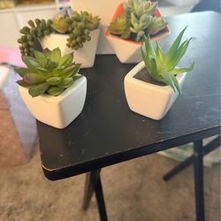 Little cactus 🌵 decorations