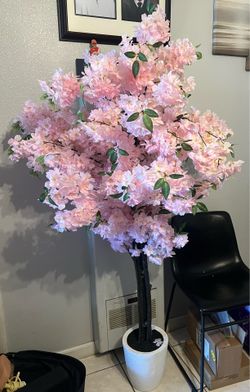 Cherry blossom tree