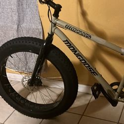 Mongoose Mountain Bike