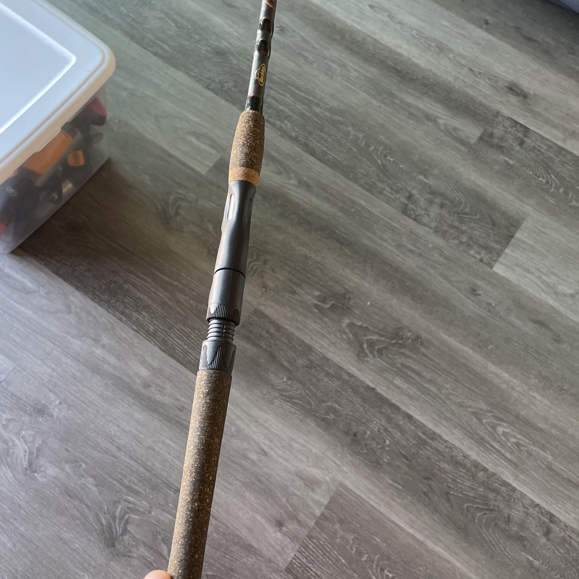 Fishing Pole for Sale in Lynnwood, WA OfferUp