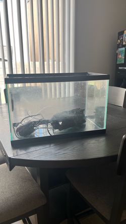 20 gallon high fish/turtle tank.