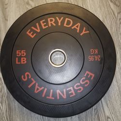 FlexWave 55LB Olympic Bumper Plates Pair, 2-Inch Black Rubber Weight Plates with Steel Hub, for Strength Training & Home Gym