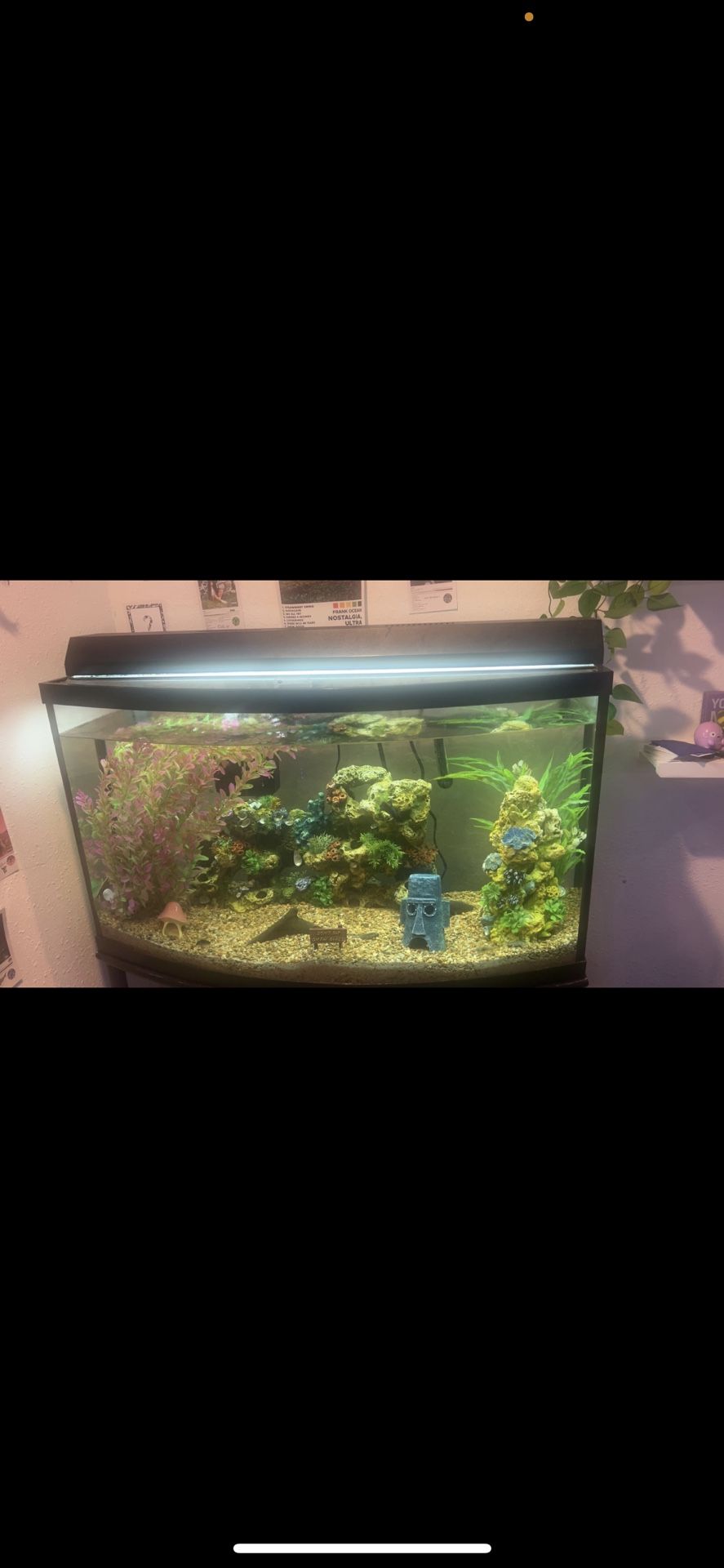 Fish tank 