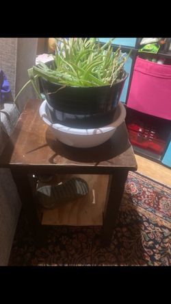 Stable, Comfortable Bar Stools, Great as plant stands $20 each or $50 for 3
