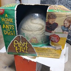 ANT HILL  LIVING  ANT  HABITAT