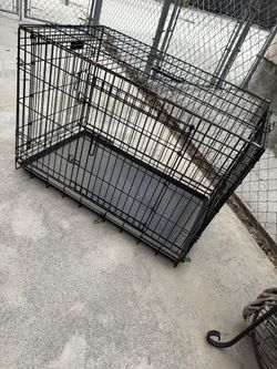 Pet Cage Create