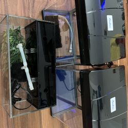 Betta Tanks/aquariums 