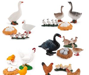 Farm Animals