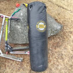 Everlast Heavy Bag